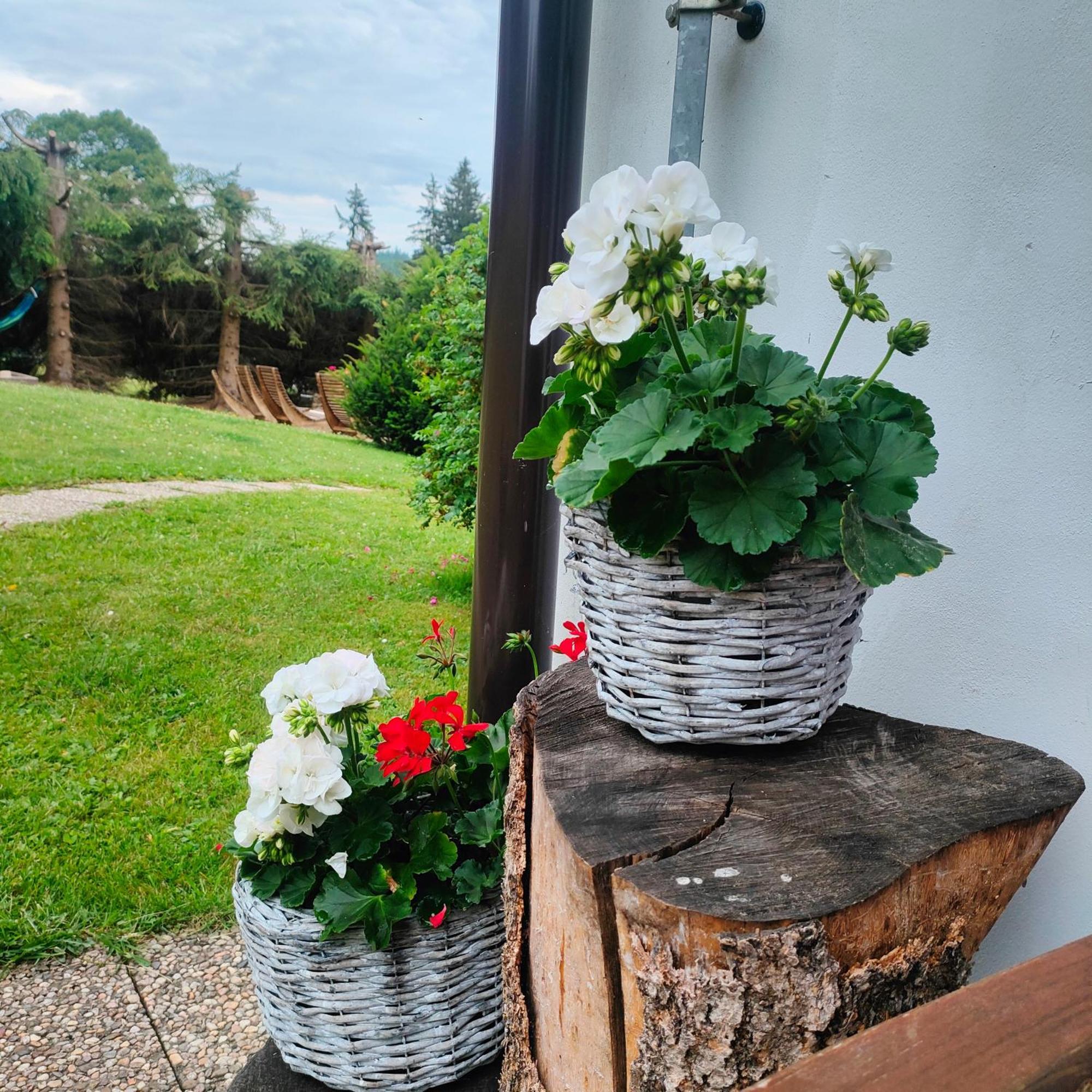 Hotel U Tomicku à Paseky nad Jizerou Extérieur photo